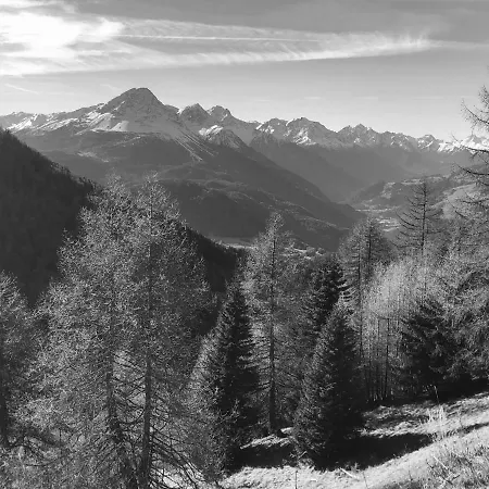 Adventure Appartement